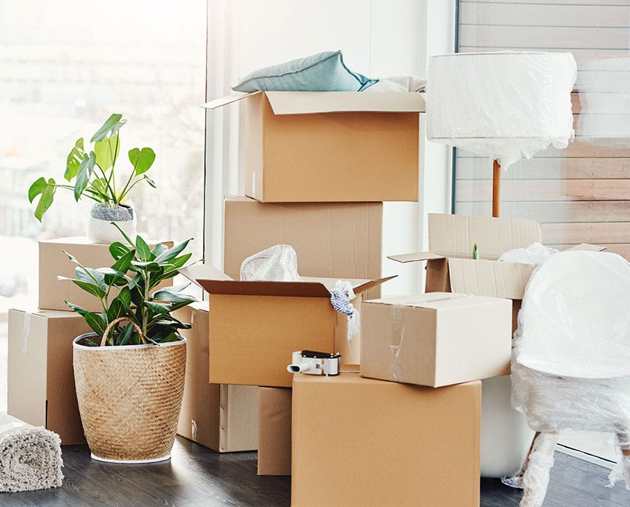 Where To Get Moving Boxes – Forbes Home